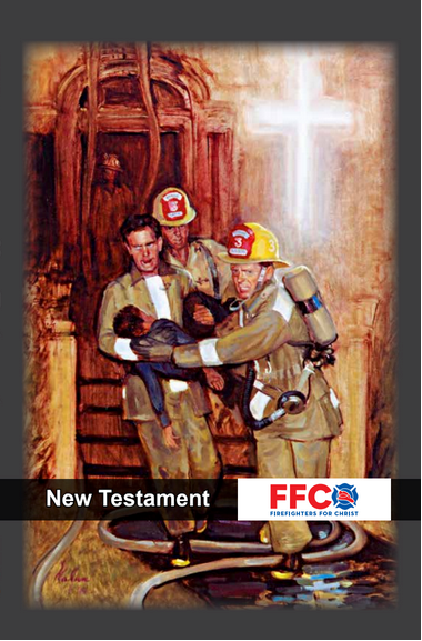 New Testament (NIV)